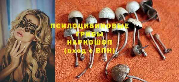 бутират Верхний Тагил