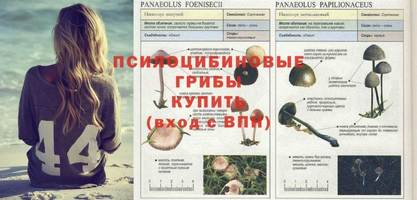 MDMA Premium VHQ Лабытнанги