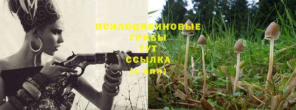 бутират Верхний Тагил