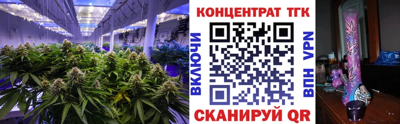 ТГК концентрат  Малмыж 