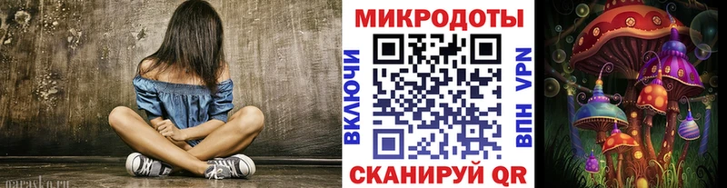 Псилоцибиновые грибы Psilocybine cubensis  Малмыж 